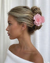 Rose Frizzante
